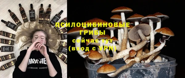 apvp Лихославль