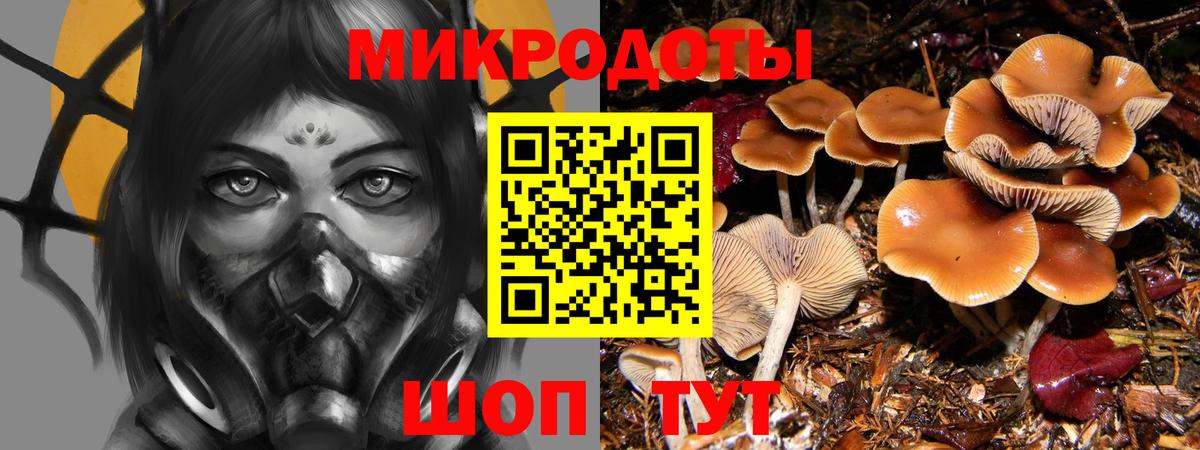 Галлюциногенные грибы мухоморы  Псилоцибиновые грибы Magic Shrooms  как найти   Вход с VPN  Батайск 